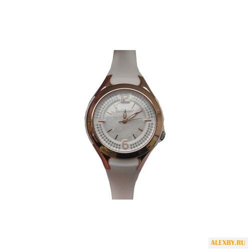 Наручные часы Steinmeyer S