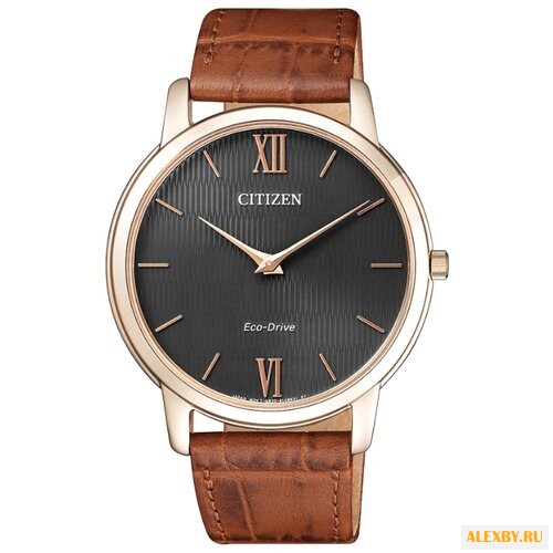 Наручные часы CITIZEN AR1133-15H