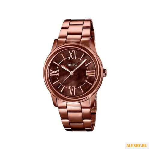 Наручные часы FESTINA F16799 1