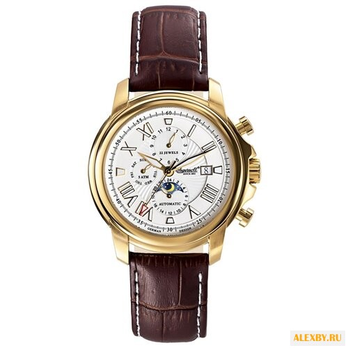 Наручные часы Ingersoll IN1217GSL