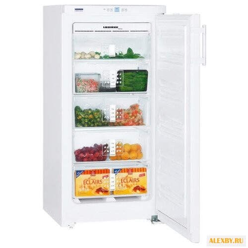 Морозильник Liebherr GN 1923