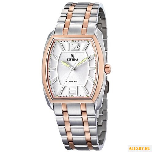 Наручные часы FESTINA F6756 D