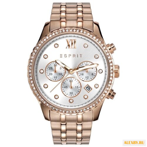Наручные часы ESPRIT ES108732002