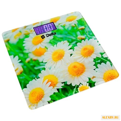 Весы DELTA D-9220
