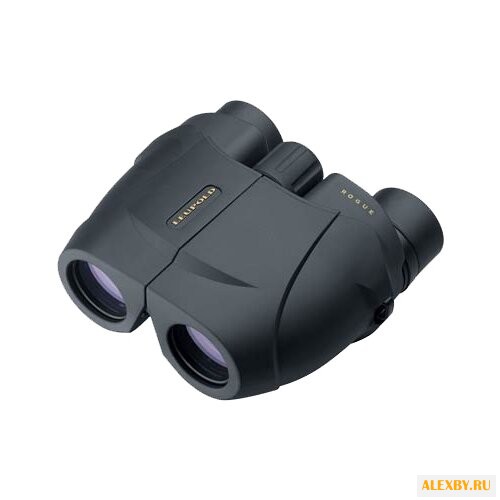 Бинокль Leupold BX-1 Rogue