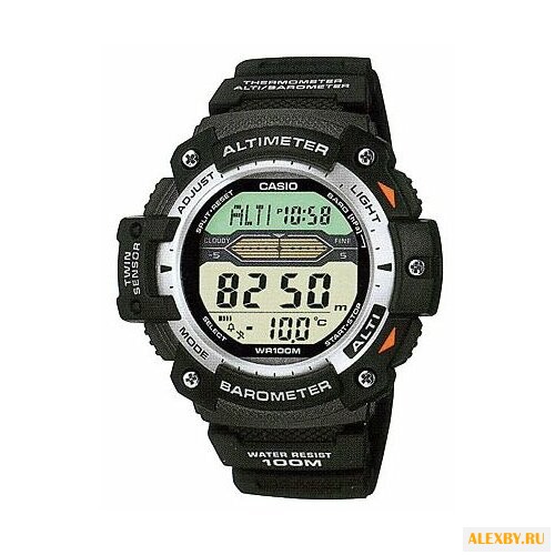 Наручные часы CASIO SGW-300H-1A