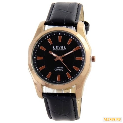 Наручные часы LEVEL 1068437R