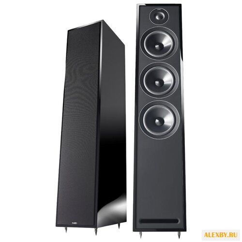 Акустическая система Acoustic