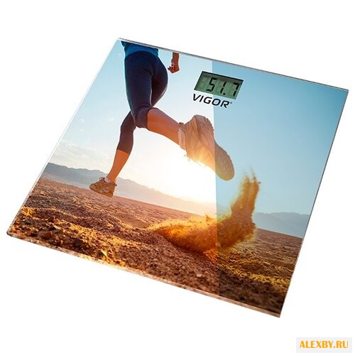 Весы VIGOR HX-8215