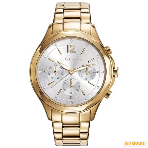 Наручные часы ESPRIT ES109242002