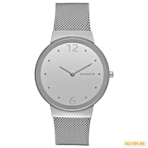 Наручные часы SKAGEN SKW2380