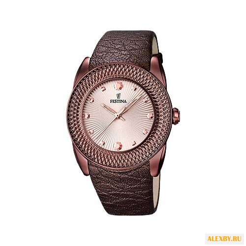Наручные часы FESTINA F16591 C