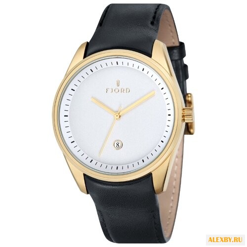 Наручные часы FJORD FJ-3002-02
