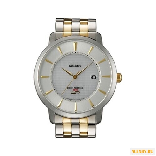 Наручные часы ORIENT WF01002W