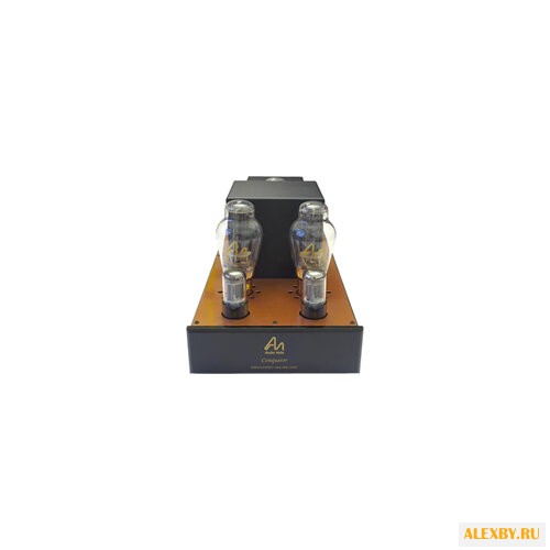 Усилитель мощности Audio Note