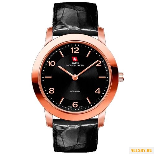 Наручные часы Swiss Mountaineer