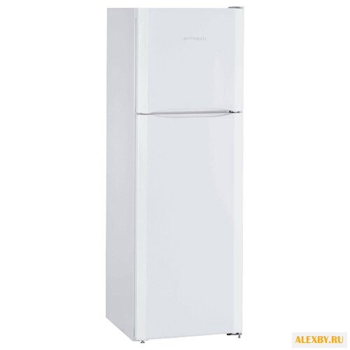 Холодильник Liebherr CTP 2521