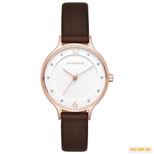 Наручные часы SKAGEN SKW2472