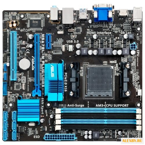 Материнская плата ASUS M5A78L-M