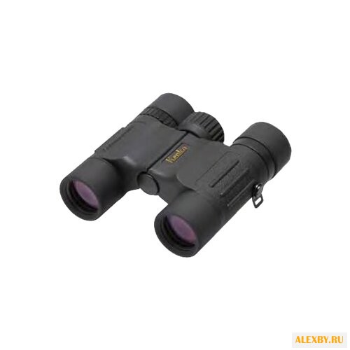 Бинокль Kenko 10x25DH