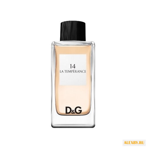 DOLCE & GABBANA 14 La Temperance