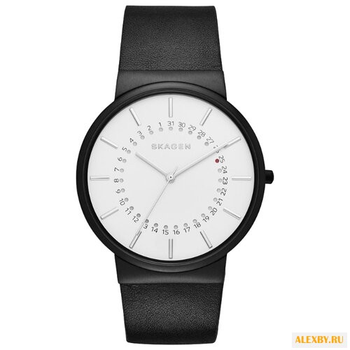 Наручные часы SKAGEN SKW6243