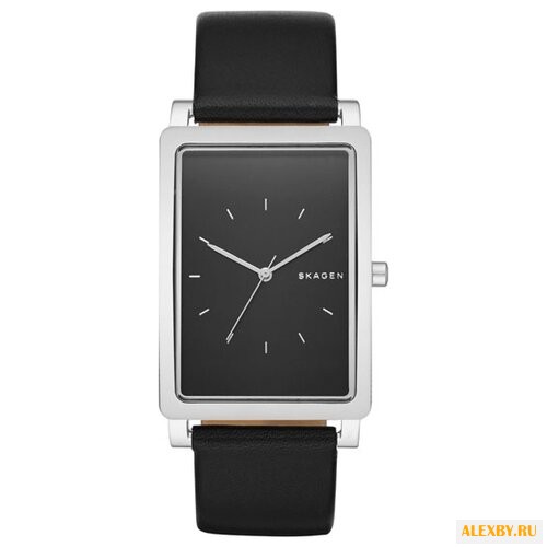 Наручные часы SKAGEN SKW6287