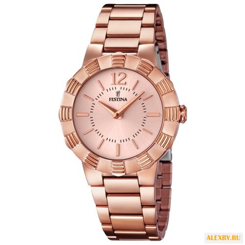 Наручные часы FESTINA F16733 1