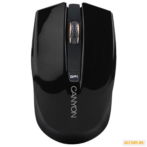 Мышь Canyon CNS-CMSW5B Black USB