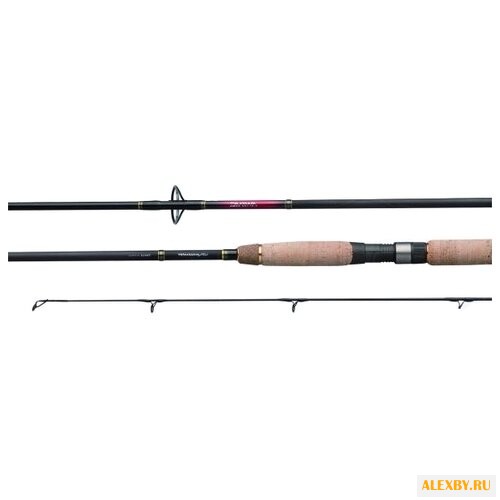 Удилище спиннинговое DAIWA