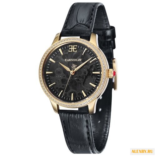 Наручные часы EARNSHAW ES-8056-01