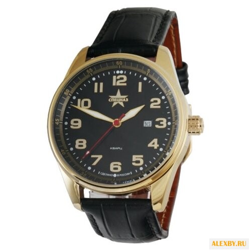 Наручные часы СПЕЦНАЗ С9379333