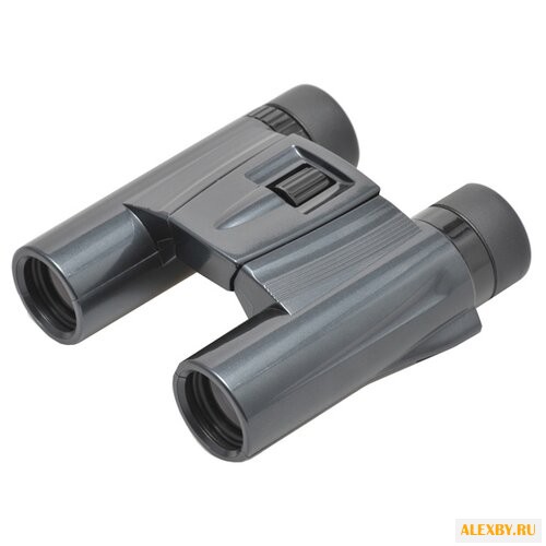 Бинокль Kenko UltraVIEW 10x25 DH
