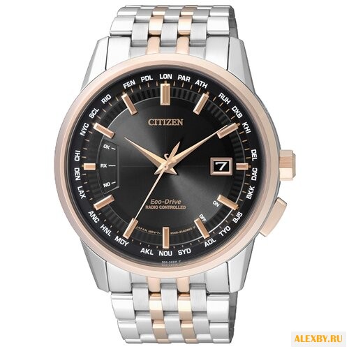 Наручные часы CITIZEN CB0156-66E