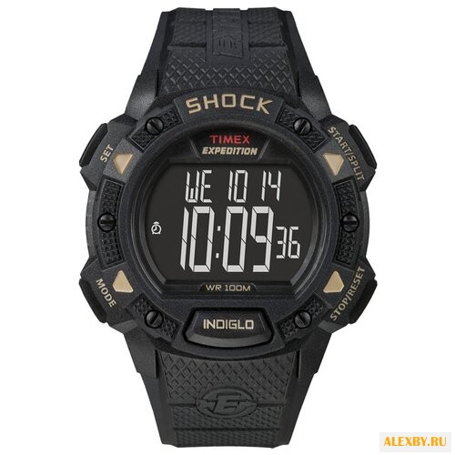 Наручные часы TIMEX T49896