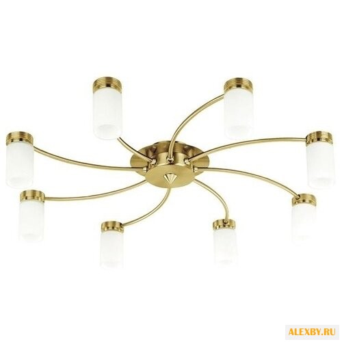 N-Light C1395BM.OM.8.SPL