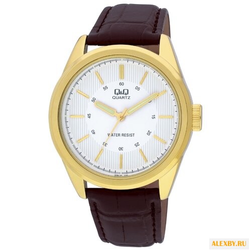 Наручные часы Q&Q Q266 J101