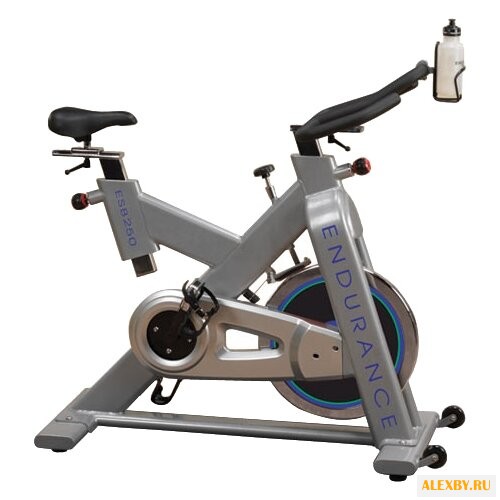 Спин-байк Endurance ESB250