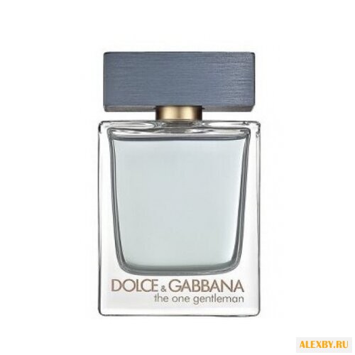 DOLCE & GABBANA The One Gentleman