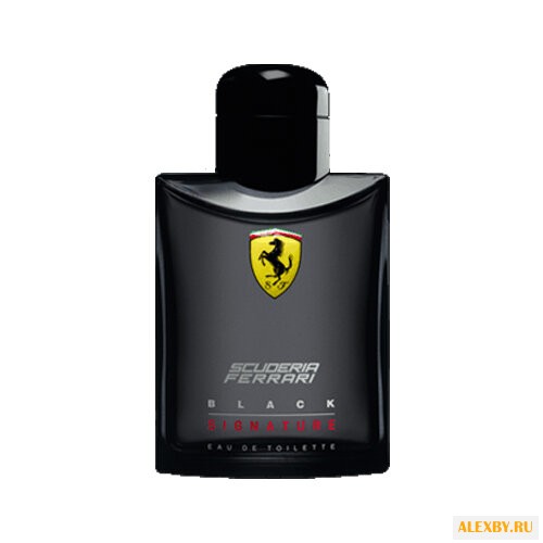 Ferrari Scuderia Ferrari Black