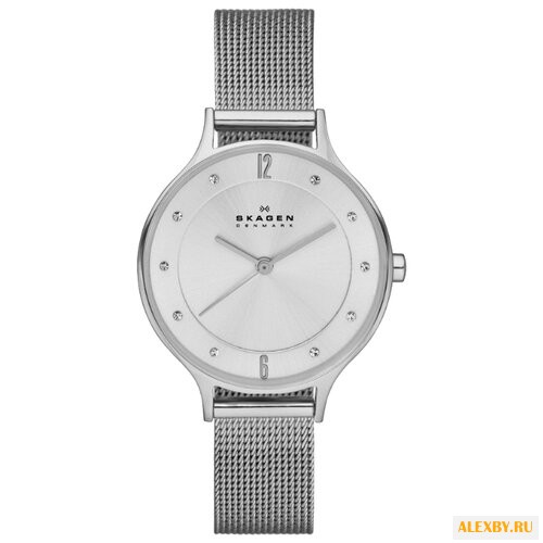 Наручные часы SKAGEN SKW2149