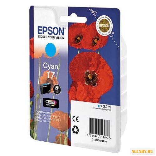 Картридж Epson C13T17024A10
