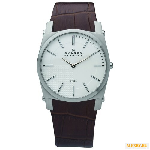 Наручные часы SKAGEN 859LSLC