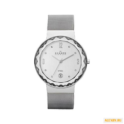 Наручные часы SKAGEN SKW2004