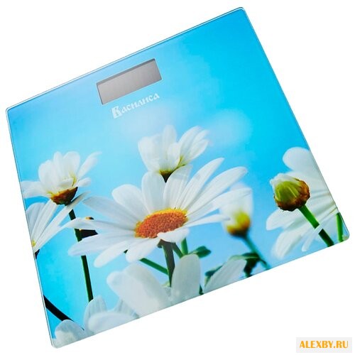 Весы Василиса ВА-4003