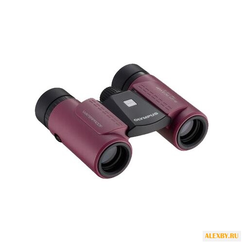 Бинокль Olympus 8x21 RC II WP