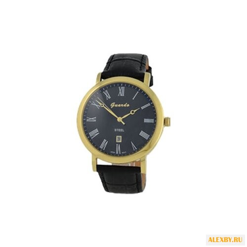 Наручные часы Guardo S0477R.6