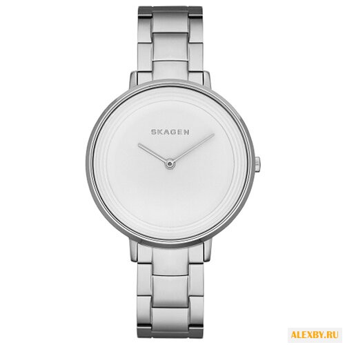 Наручные часы SKAGEN SKW2329