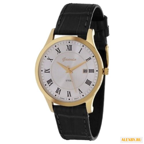 Наручные часы Guardo S0990.6