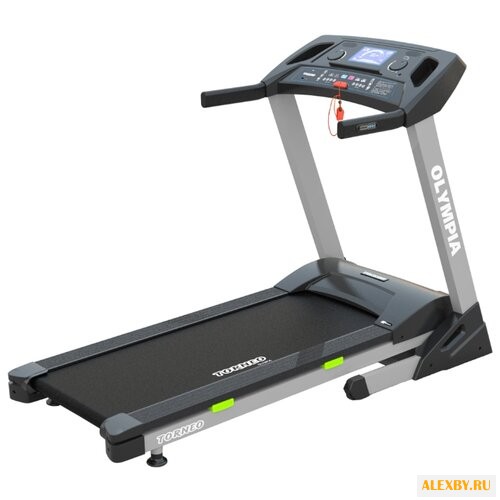 Электрическая беговая дорожка